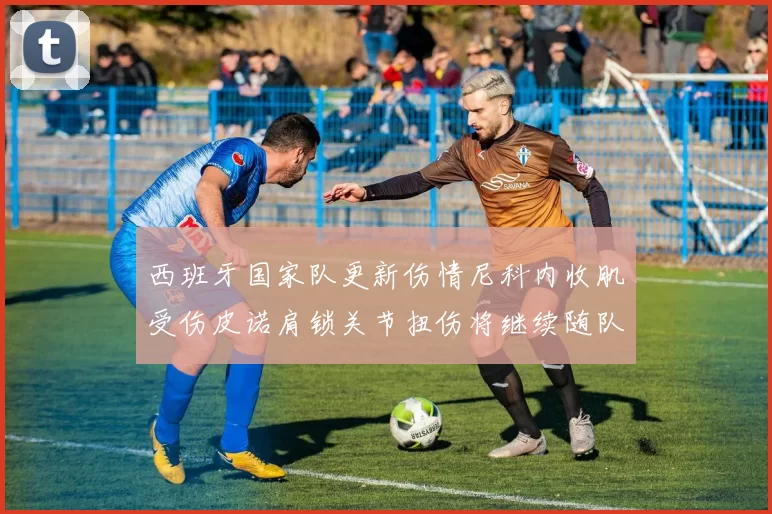 西班牙国家队更新伤情尼科内收肌受伤皮诺肩锁关节扭伤将继续随队训练