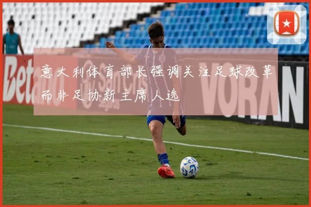 意大利体育部长强调关注足球改革而非足协新主席人选